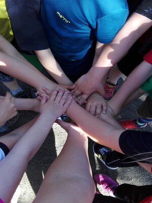 Foto des Albums: SPORT FREI!