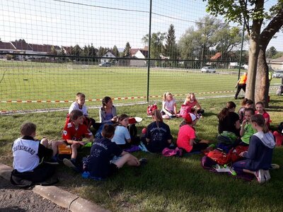Foto des Albums: SPORT FREI!