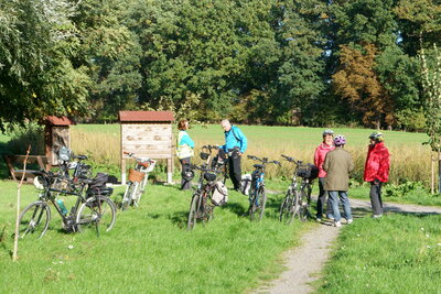 Rast in der S&uuml;daue -2  (Bild vergr&ouml;&szlig;ern)
