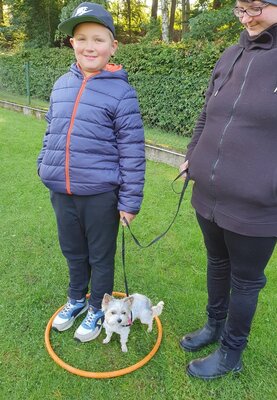 Foto des Albums: Besuch der Hundeschule (07.10.2022)