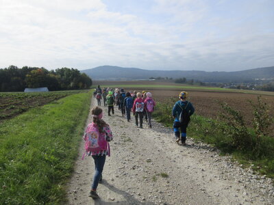 Foto des Albums: Wandertag Tröstau (07. 10. 2022)