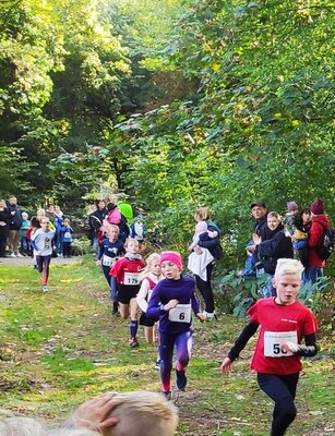 Foto des Albums: Ueckermünder Herbstcross, 03.10.2022