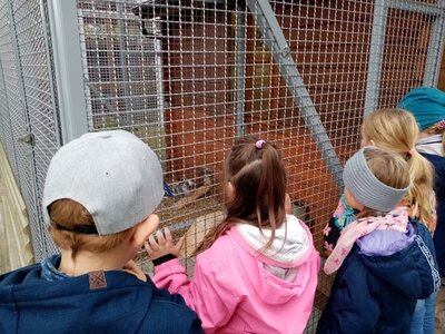 Foto des Albums: Wandertag Kl.1 Tierheim Schmölln