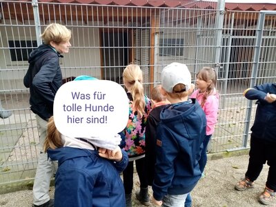 Foto des Albums: Wandertag Kl.1 Tierheim Schmölln