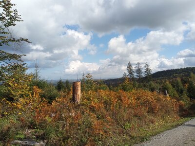 Fernsicht  (Bild vergr&ouml;&szlig;ern)