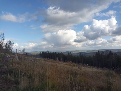 Fernblick immer besser  (Bild vergr&ouml;&szlig;ern)
