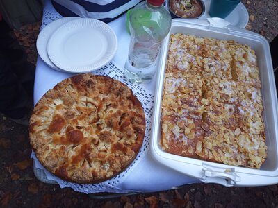Apfelkuchen, einach lecker  (Bild vergr&ouml;&szlig;ern)