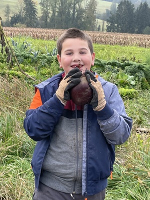 Foto des Albums: Wandertag_2teKlassen_2022