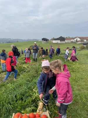 Foto des Albums: Wandertag_2teKlassen_2022