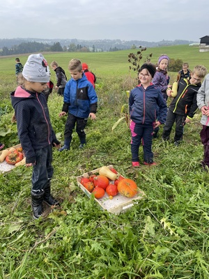 Foto des Albums: Wandertag_2teKlassen_2022