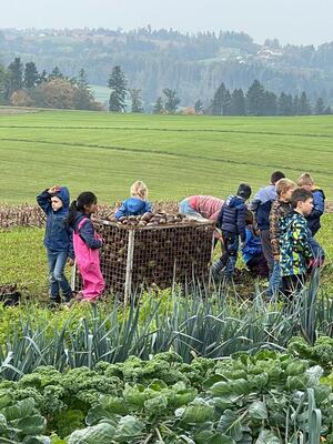 Foto des Albums: Wandertag_2teKlassen_2022