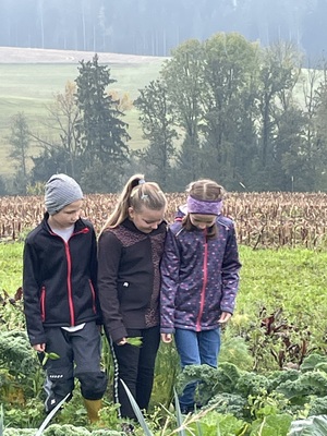 Foto des Albums: Wandertag_2teKlassen_2022