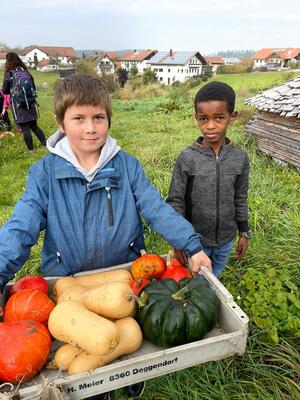 Foto des Albums: Wandertag_2teKlassen_2022