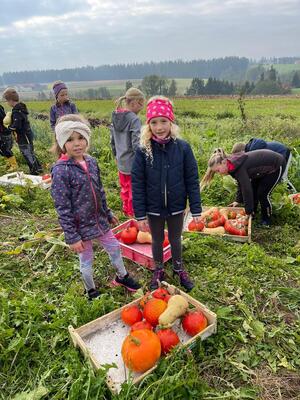 Foto des Albums: Wandertag_2teKlassen_2022