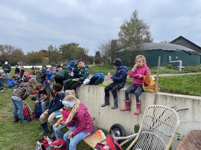 Foto des Albums: Wandertag_2teKlassen_2022