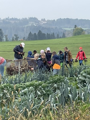 Foto des Albums: Wandertag_2teKlassen_2022