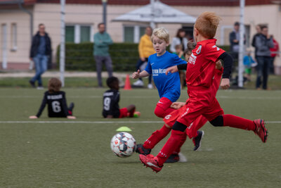 Foto des Albums: G Junioren Turnier