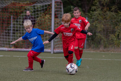 Foto des Albums: G Junioren Turnier