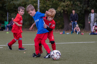 Foto des Albums: G Junioren Turnier