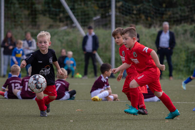 Foto des Albums: G Junioren Turnier
