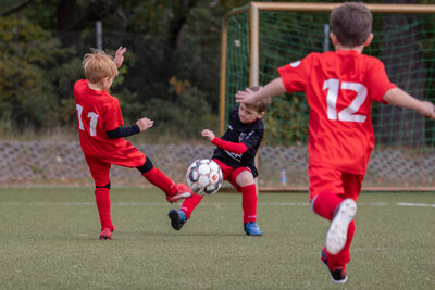 Foto des Albums: G Junioren Turnier