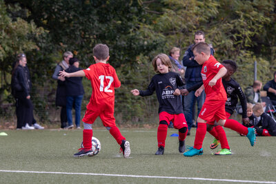 Foto des Albums: G Junioren Turnier
