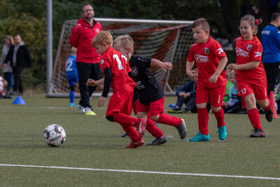 Foto des Albums: G Junioren Turnier