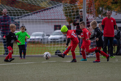Foto des Albums: G Junioren Turnier