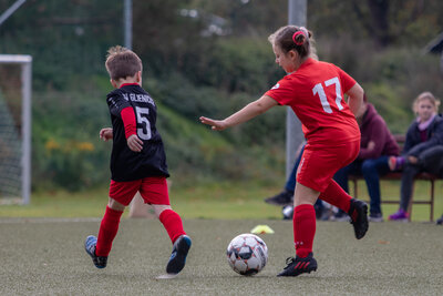 Foto des Albums: G Junioren Turnier