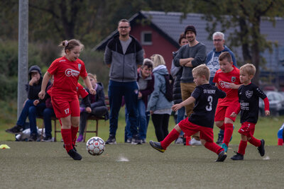 Foto des Albums: G Junioren Turnier