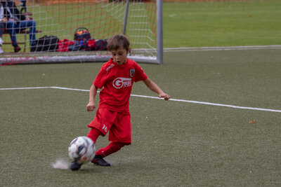 Foto des Albums: G Junioren Turnier