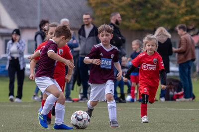 Foto des Albums: G Junioren Turnier