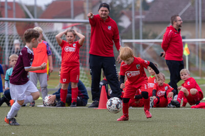 Foto des Albums: G Junioren Turnier