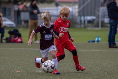 Foto des Albums: G Junioren Turnier
