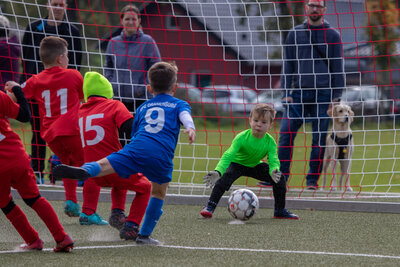 Foto des Albums: G Junioren Turnier