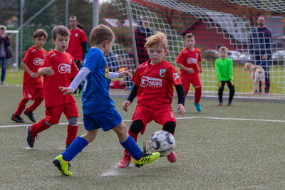 Foto des Albums: G Junioren Turnier