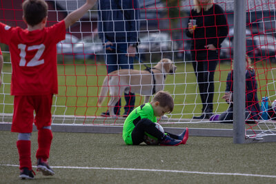 Foto des Albums: G Junioren Turnier