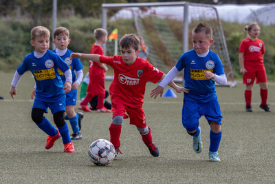 Foto des Albums: G Junioren Turnier