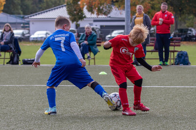 Foto des Albums: G Junioren Turnier