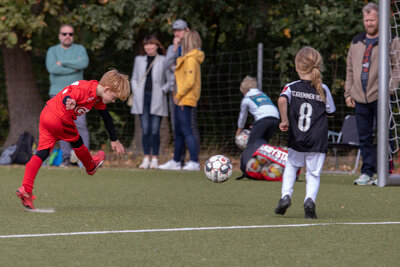 Foto des Albums: G Junioren Turnier