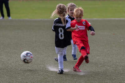 Foto des Albums: G Junioren Turnier
