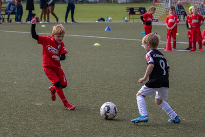 Foto des Albums: G Junioren Turnier