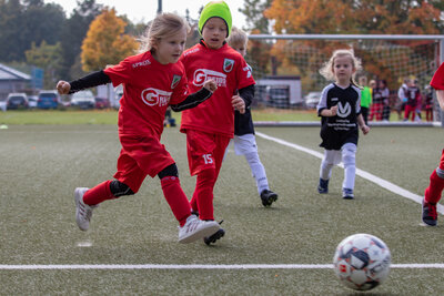 Foto des Albums: G Junioren Turnier