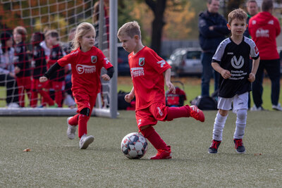 Foto des Albums: G Junioren Turnier