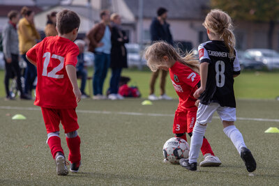 Foto des Albums: G Junioren Turnier