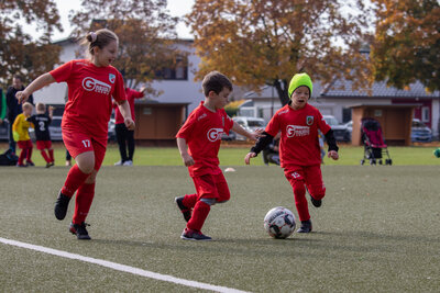 Foto des Albums: G Junioren Turnier