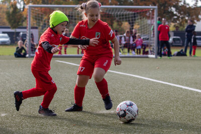 Foto des Albums: G Junioren Turnier
