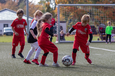 Foto des Albums: G Junioren Turnier