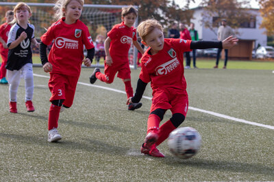 Foto des Albums: G Junioren Turnier