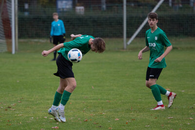 Foto des Albums: A Junioren gegen SpG Zepernick / Schwanebeck